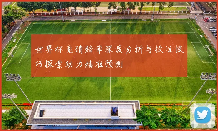世界杯竞猜赔率深度分析与投注技巧探索助力精准预测