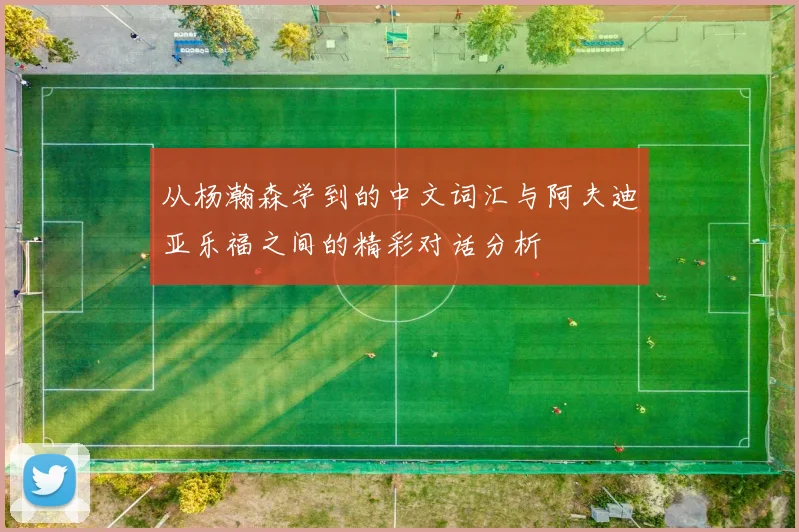 从杨瀚森学到的中文词汇与阿夫迪亚乐福之间的精彩对话分析