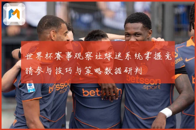 世界杯赛事观察让球迷系统掌握竞猜参与技巧与策略数据研判