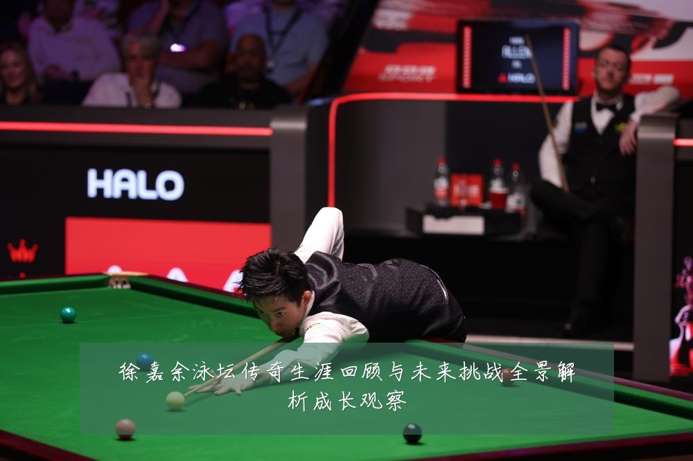 徐嘉余泳坛传奇生涯回顾与未来挑战全景解析成长观察