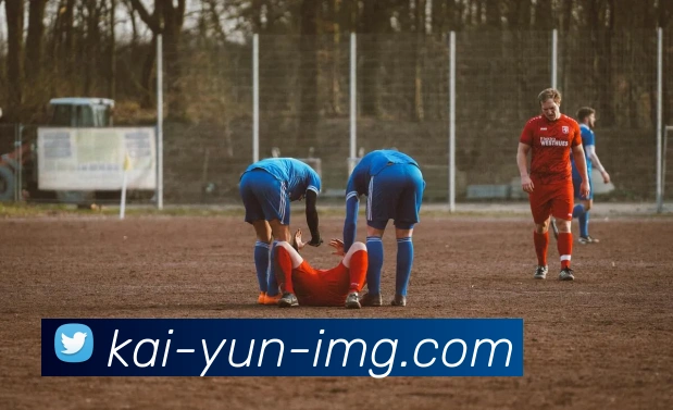 开云平台展示图