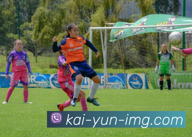 开云足球投注解析及投注技巧指南全面分析如何提高投注成功率