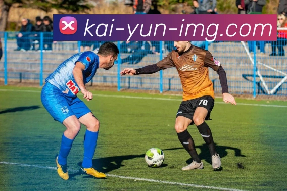 开云官网全站App